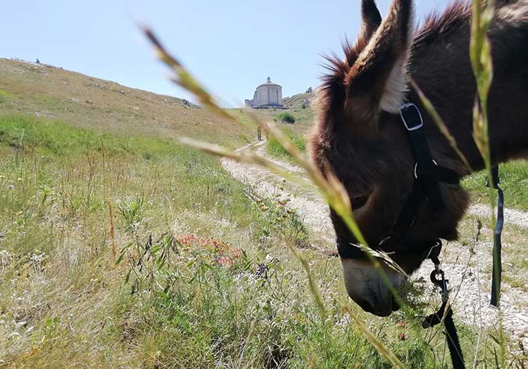 Montagna e Cultura.. a passo d’Asino